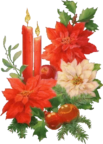 ᐅ 2e advent gif - 2e Adventzondag plaatjes Kerststuk met rode en witte poinsettia's, kaarsen en versierde appels.