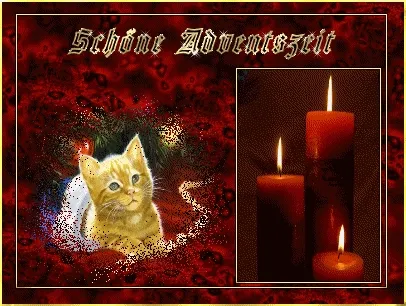 ᐅ 3e advent gif - 3e Adventzondag plaatjes Een schattige kat met kaarsen op een feestelijke achtergrond.