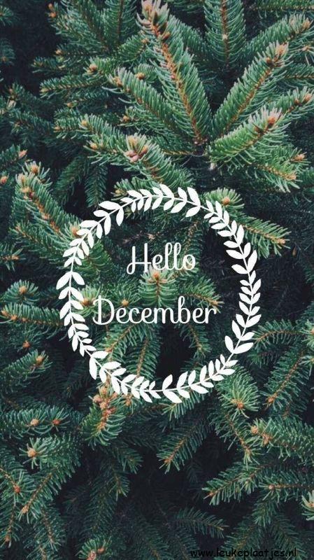 ᐅ afbeelding december - December plaatjes