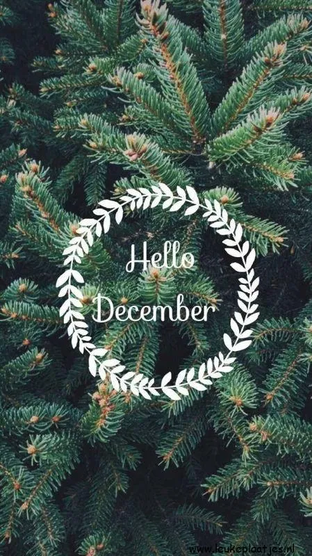ᐅ afbeelding december - December plaatjes Groene dennennaalden met tekst "Hello December" in een krans.