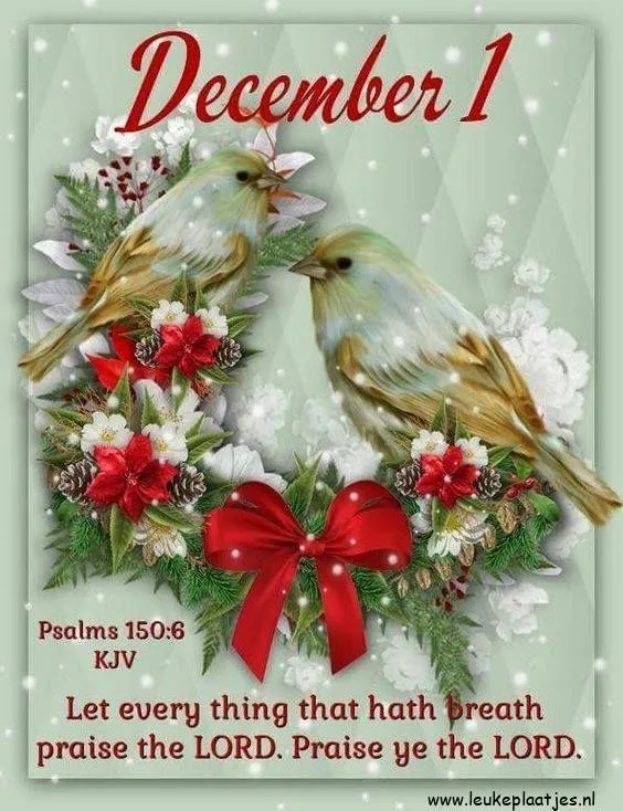 ᐅ afbeelding december - December plaatjes Twee vogels met een kerstkrans en een rode strik, met de tekst van Psalm 150:6.
