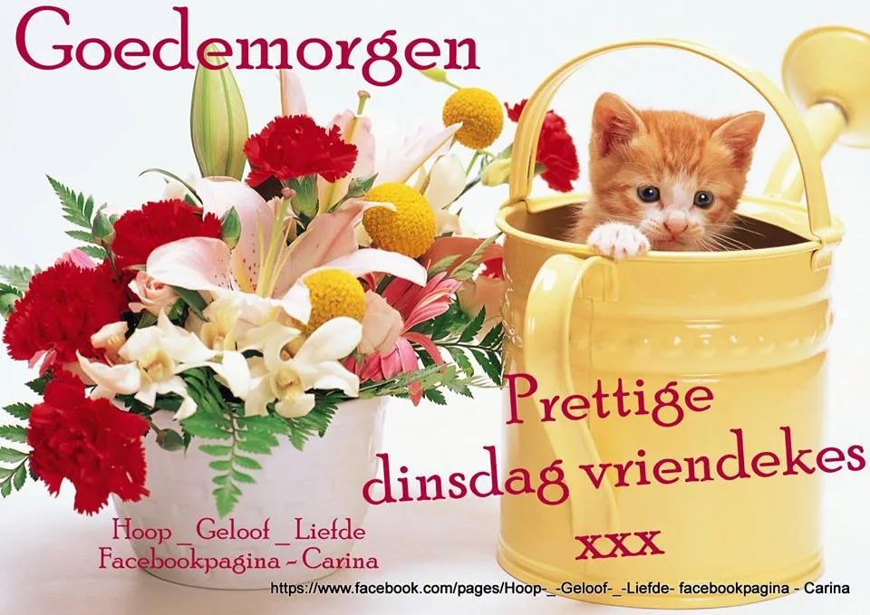 ᐅ afbeelding dinsdag - Dinsdag plaatjes ᐅ afbeelding dinsdag - Dinsdag plaatjes