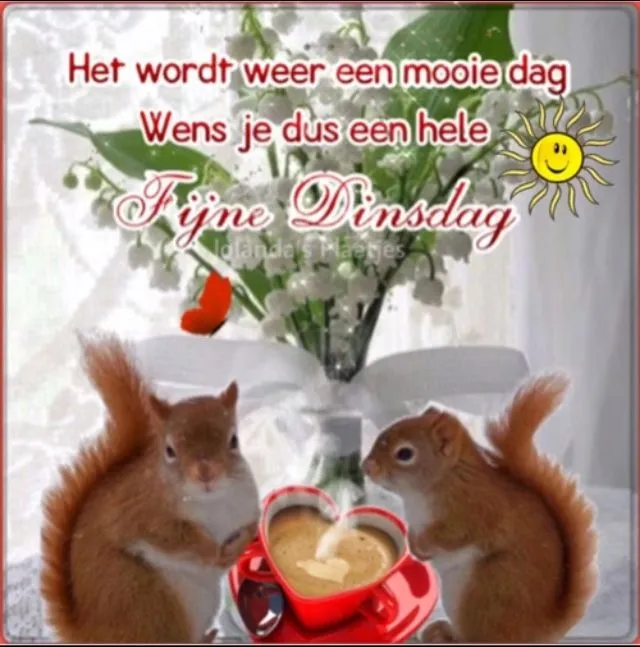 ᐅ afbeelding dinsdag - Dinsdag plaatjes ᐅ afbeelding dinsdag - Dinsdag plaatjes