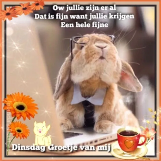 ᐅ afbeelding dinsdag - Dinsdag plaatjes ᐅ afbeelding dinsdag - Dinsdag plaatjes