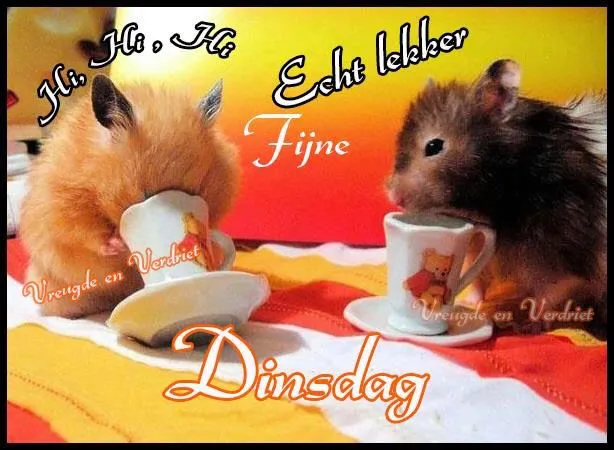 ᐅ afbeelding dinsdag - Dinsdag plaatjes ᐅ afbeelding dinsdag - Dinsdag plaatjes