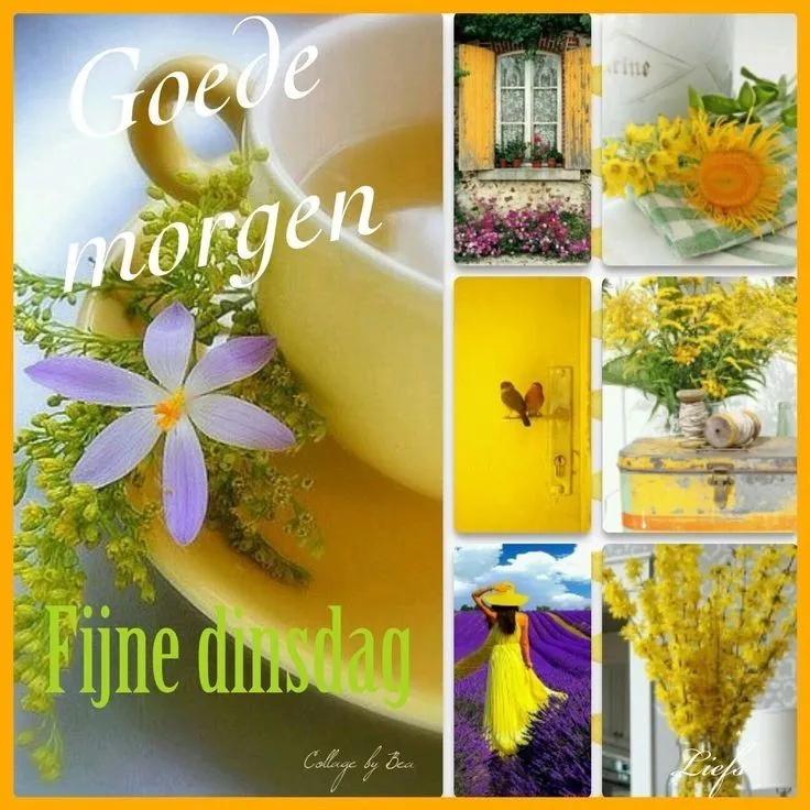 ᐅ afbeelding dinsdag - Dinsdag plaatjes ᐅ afbeelding dinsdag - Dinsdag plaatjes