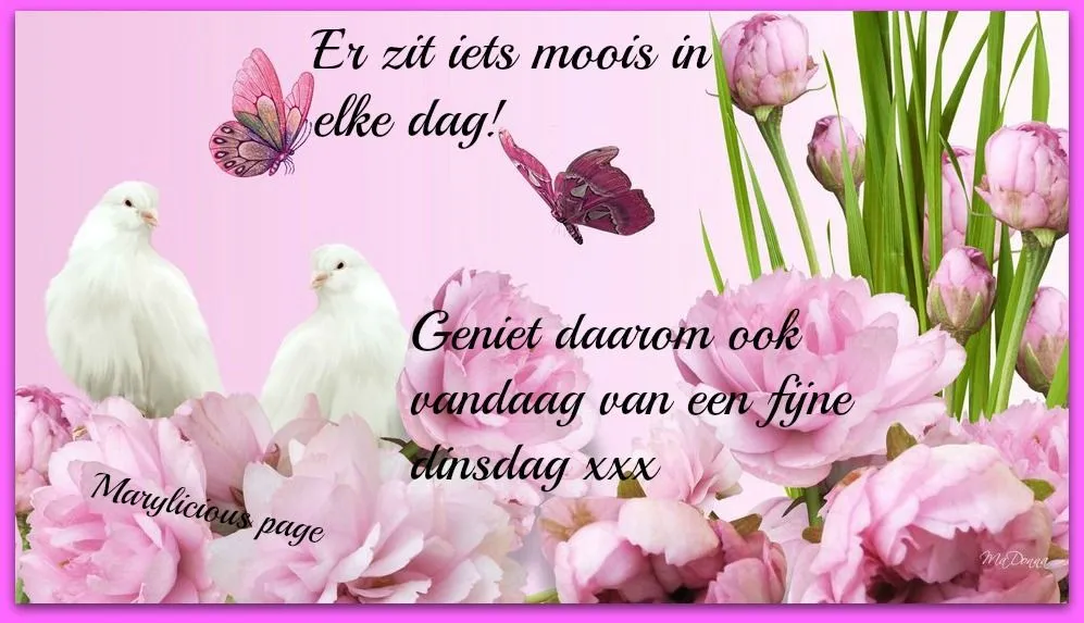 ᐅ afbeelding dinsdag - Dinsdag plaatjes ᐅ afbeelding dinsdag - Dinsdag plaatjes