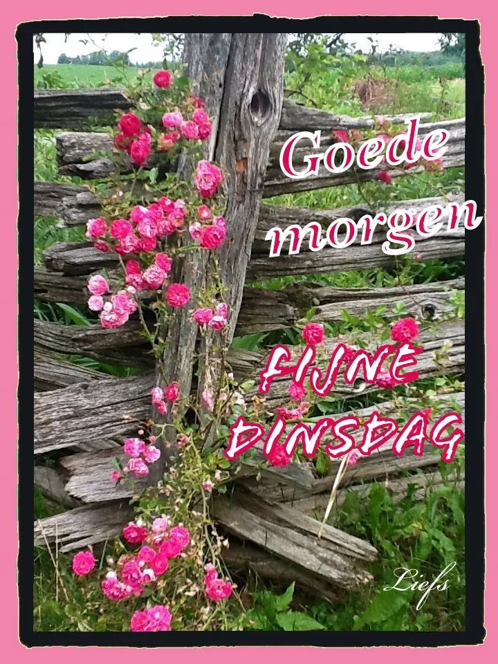 ᐅ afbeelding dinsdag - Dinsdag plaatjes ᐅ afbeelding dinsdag - Dinsdag plaatjes