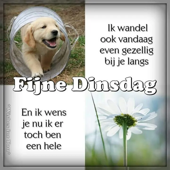 ᐅ afbeelding dinsdag - Dinsdag plaatjes ᐅ afbeelding dinsdag - Dinsdag plaatjes