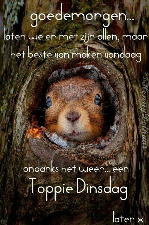 ᐅ afbeelding dinsdag - Dinsdag plaatjes ᐅ afbeelding dinsdag - Dinsdag plaatjes