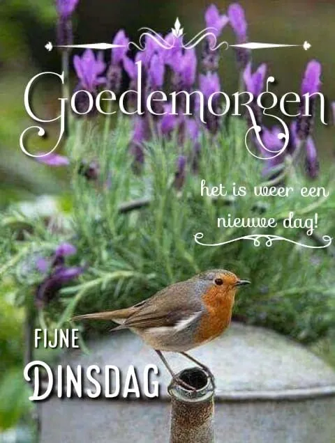 ᐅ afbeelding dinsdag - Dinsdag plaatjes ᐅ afbeelding dinsdag - Dinsdag plaatjes