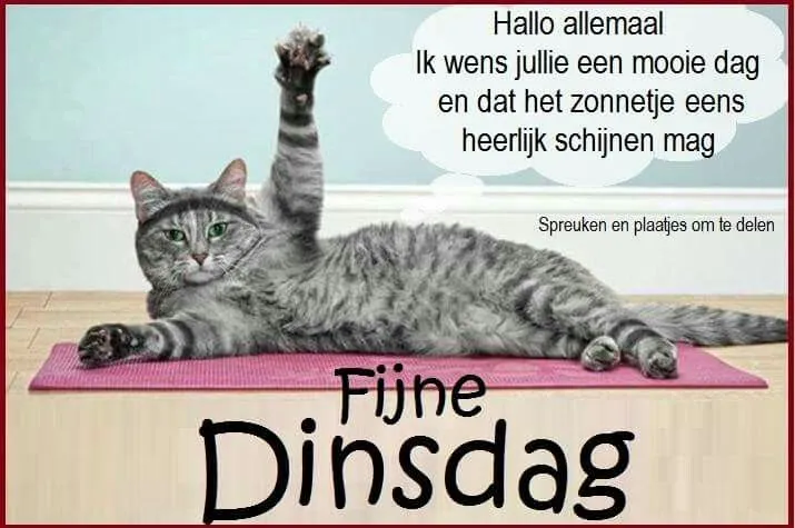 ᐅ afbeelding dinsdag - Dinsdag plaatjes ᐅ afbeelding dinsdag - Dinsdag plaatjes