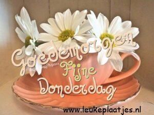 afbeelding donderdag