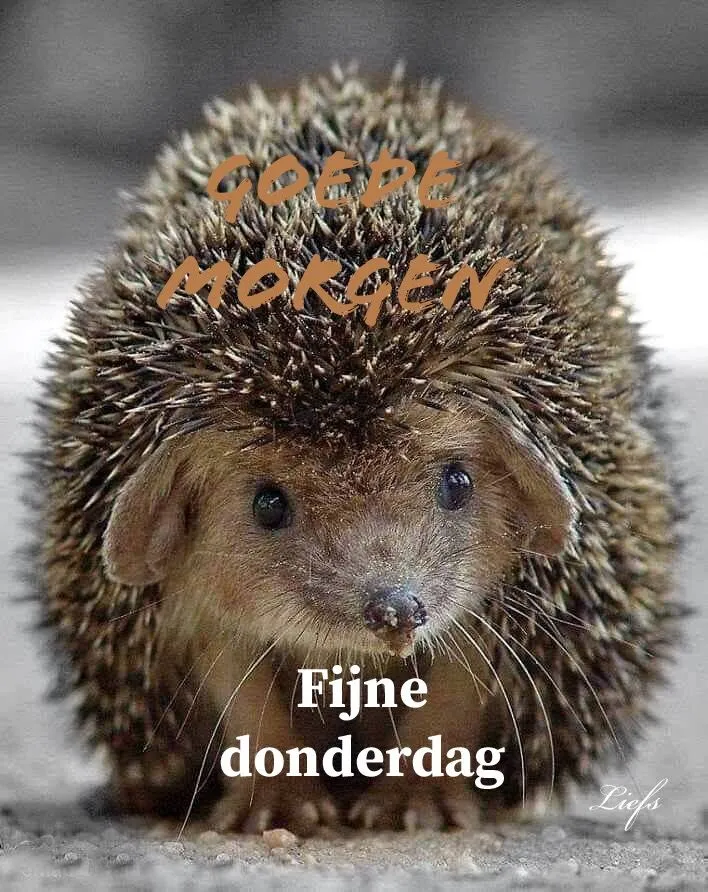 ᐅ afbeelding donderdag - Donderdag plaatjes ᐅ afbeelding donderdag - Donderdag plaatjes