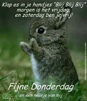 ᐅ afbeelding donderdag - Donderdag plaatjes ᐅ afbeelding donderdag - Donderdag plaatjes