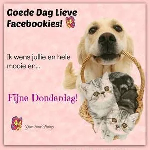 ᐅ afbeelding donderdag - Donderdag plaatjes ᐅ afbeelding donderdag - Donderdag plaatjes