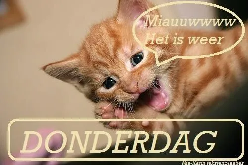 ᐅ afbeelding donderdag - Donderdag plaatjes ᐅ afbeelding donderdag - Donderdag plaatjes