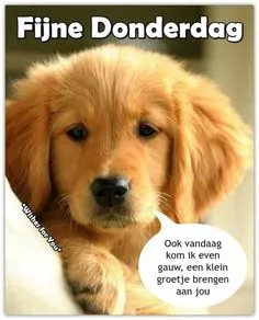 ᐅ afbeelding donderdag - Donderdag plaatjes ᐅ afbeelding donderdag - Donderdag plaatjes