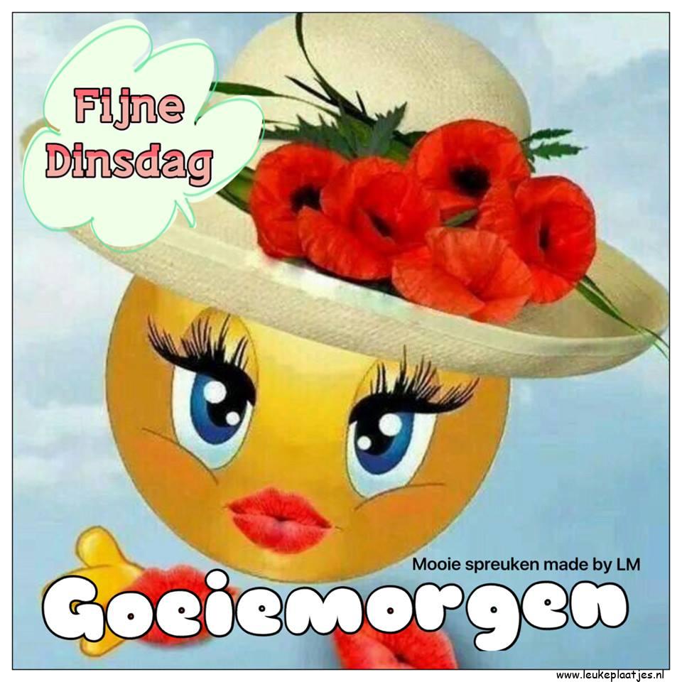 afbeelding fijne dinsdag