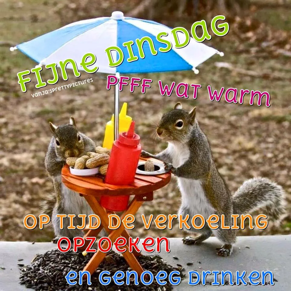 ᐅ afbeelding fijne dinsdag - Dinsdag plaatjes ᐅ afbeelding fijne dinsdag - Dinsdag plaatjes