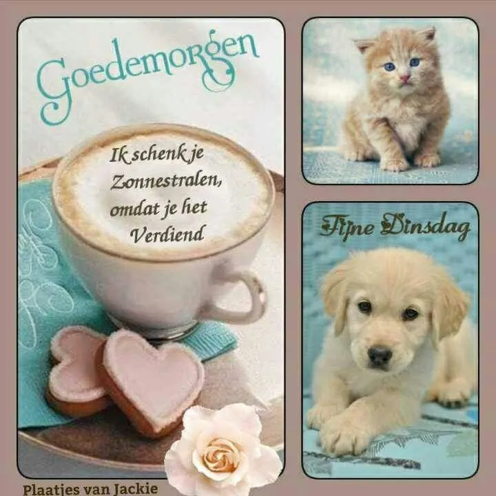 ᐅ afbeelding fijne dinsdag - Dinsdag plaatjes ᐅ afbeelding fijne dinsdag - Dinsdag plaatjes