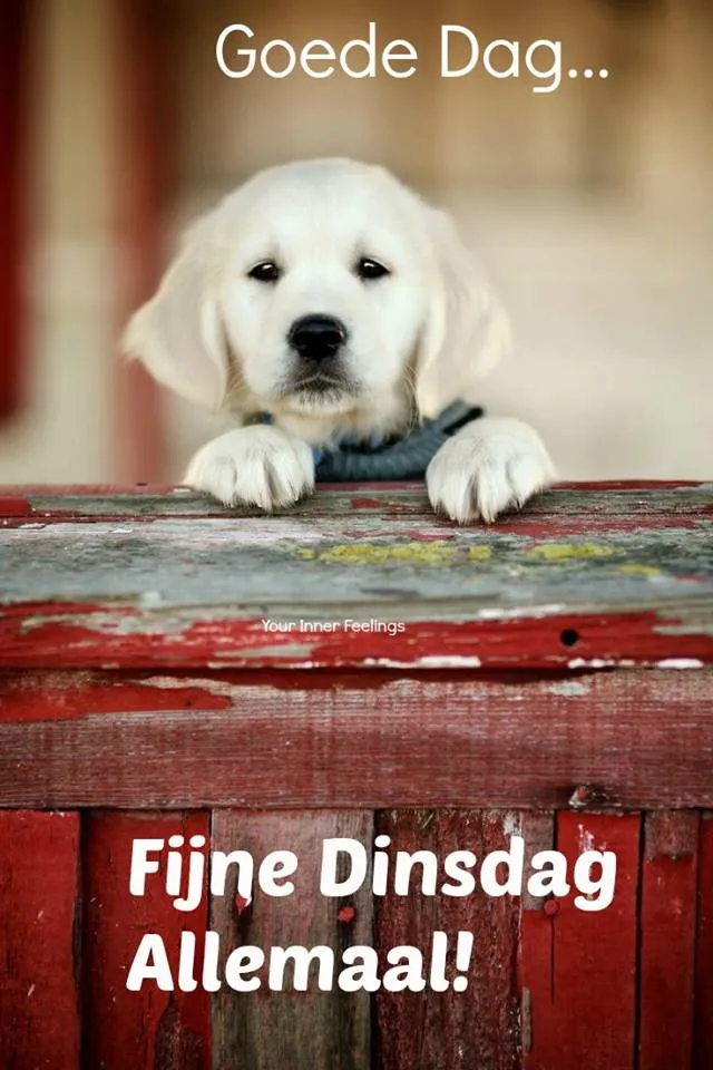 ᐅ afbeelding fijne dinsdag - Dinsdag plaatjes ᐅ afbeelding fijne dinsdag - Dinsdag plaatjes