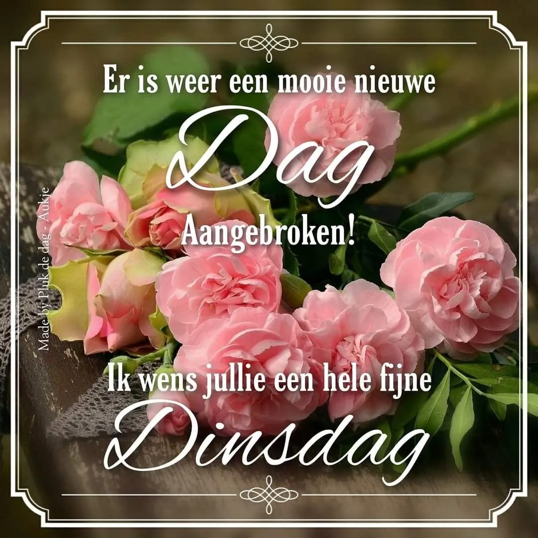 ᐅ afbeelding fijne dinsdag - Dinsdag plaatjes ᐅ afbeelding fijne dinsdag - Dinsdag plaatjes