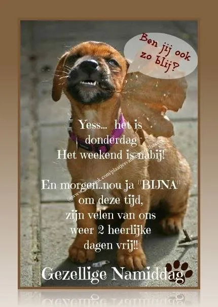 ᐅ afbeelding fijne donderdag - Donderdag plaatjes