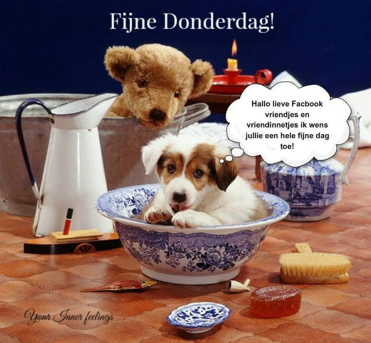 ᐅ afbeelding fijne donderdag - Donderdag plaatjes