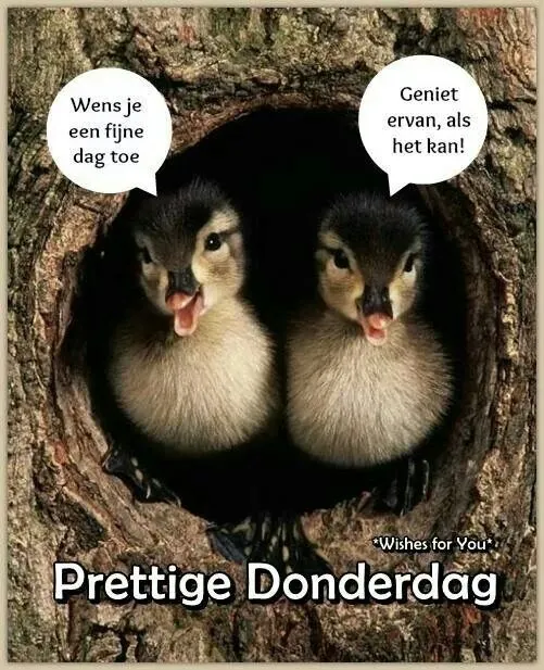 ᐅ afbeelding fijne donderdag - Donderdag plaatjes