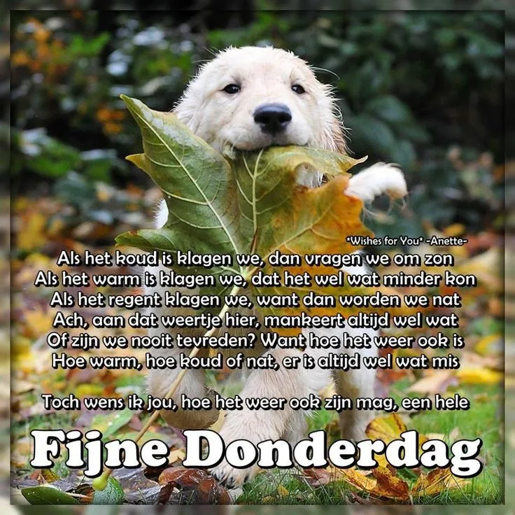 ᐅ afbeelding fijne donderdag - Donderdag plaatjes