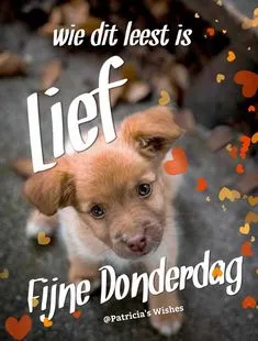 ᐅ afbeelding fijne donderdag - Donderdag plaatjes