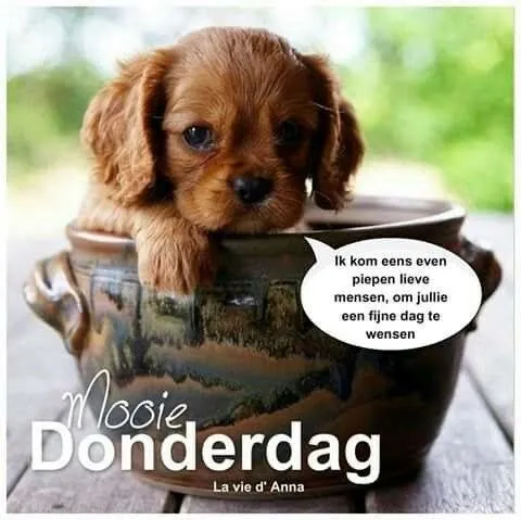 ᐅ afbeelding fijne donderdag - Donderdag plaatjes
