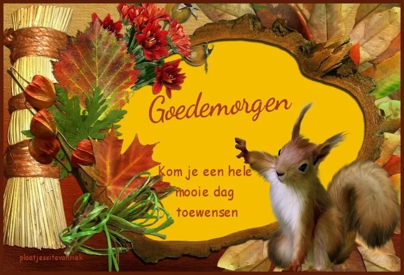 ᐅ afbeelding fijne donderdag - Donderdag plaatjes
