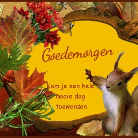 ᐅ afbeelding fijne donderdag - Donderdag plaatjes