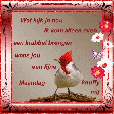 ᐅ afbeelding fijne maandag - Fijne week plaatjes Kleurige vogel met tekst over een knuffel en fijne maandag. Decoratieve bloemen en vlinders.