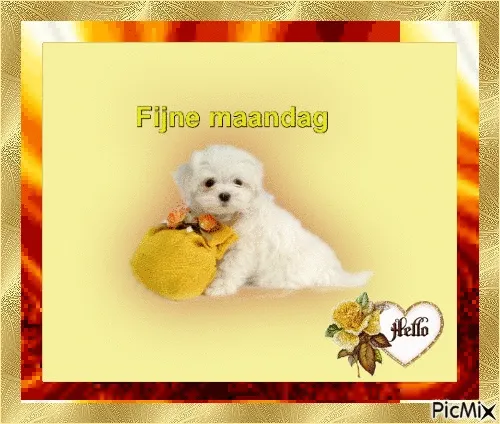 ᐅ afbeelding fijne maandag - Fijne week plaatjes Een schattige puppy met een tas, met de tekst "Fijne maandag" ernaast.