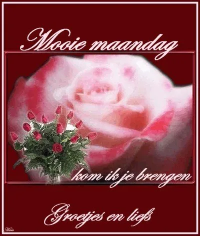 ᐅ afbeelding fijne maandag - Fijne week plaatjes Een rozenboeket met de tekst "Mooie maandag, groetjes en liefs".