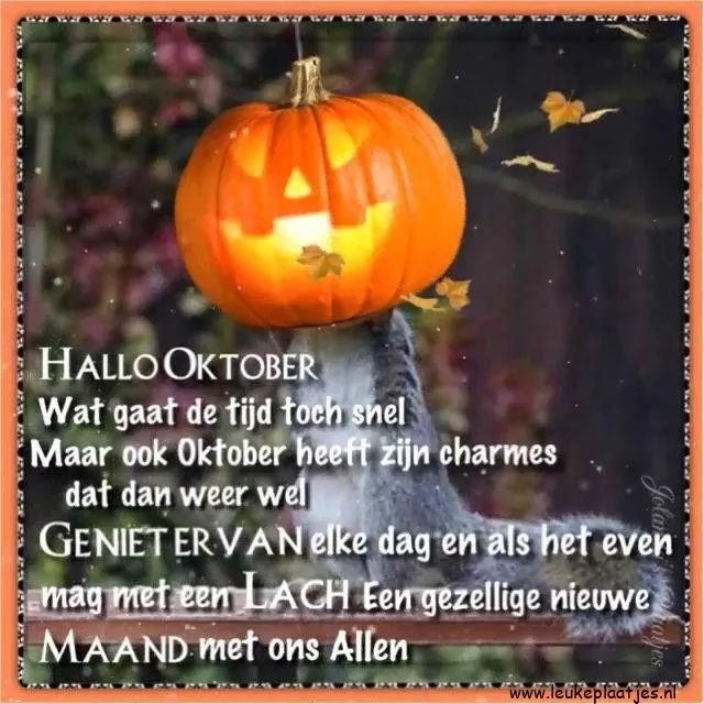 ᐅ afbeelding halloween - Halloween plaatjes Tekst met een spookachtige afbeelding en een oktober-groet. Gezelligheid en lachmomenten.
