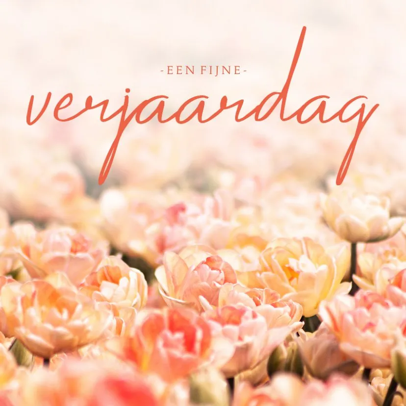 ᐅ afbeelding verjaardag - Verjaardag plaatjes