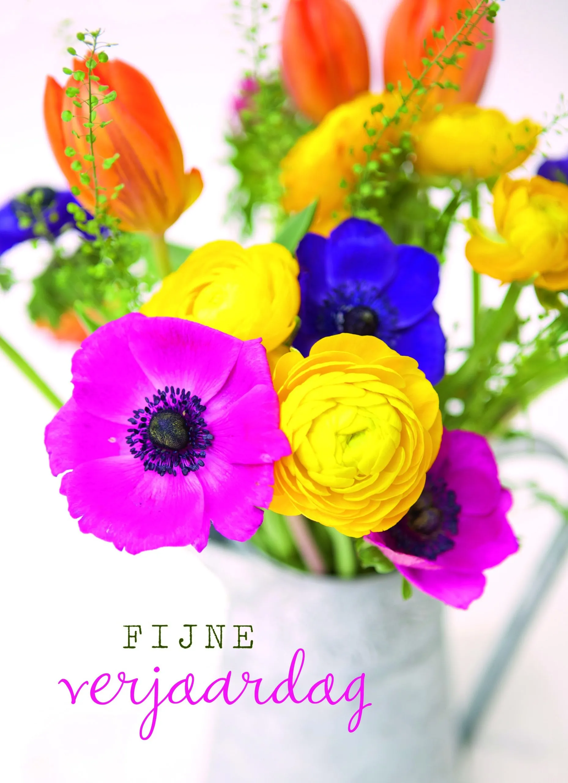 ᐅ afbeelding verjaardag vrouw - Verjaardag plaatjes ᐅ afbeelding verjaardag vrouw - Verjaardag plaatjes