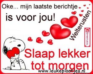 Een mooie afbeelding welterusten lieverd voor een warm bericht