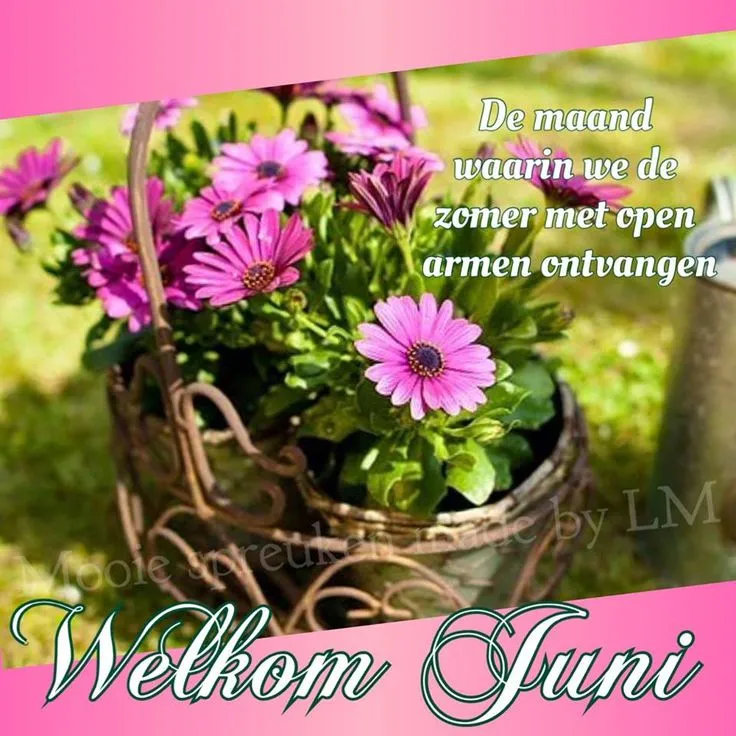 Een mand met paarse bloemen, met de tekst "Welkom Juni".