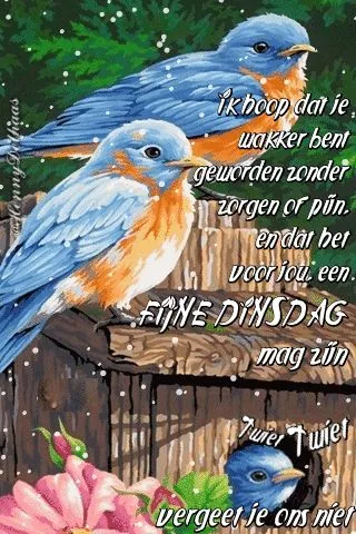 Twee blauwe vogels op een achtergrond van bloemen en tekst over hoop en dag wensen.