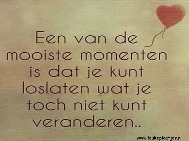 Tekst over het loslaten van dingen die je niet kunt veranderen.