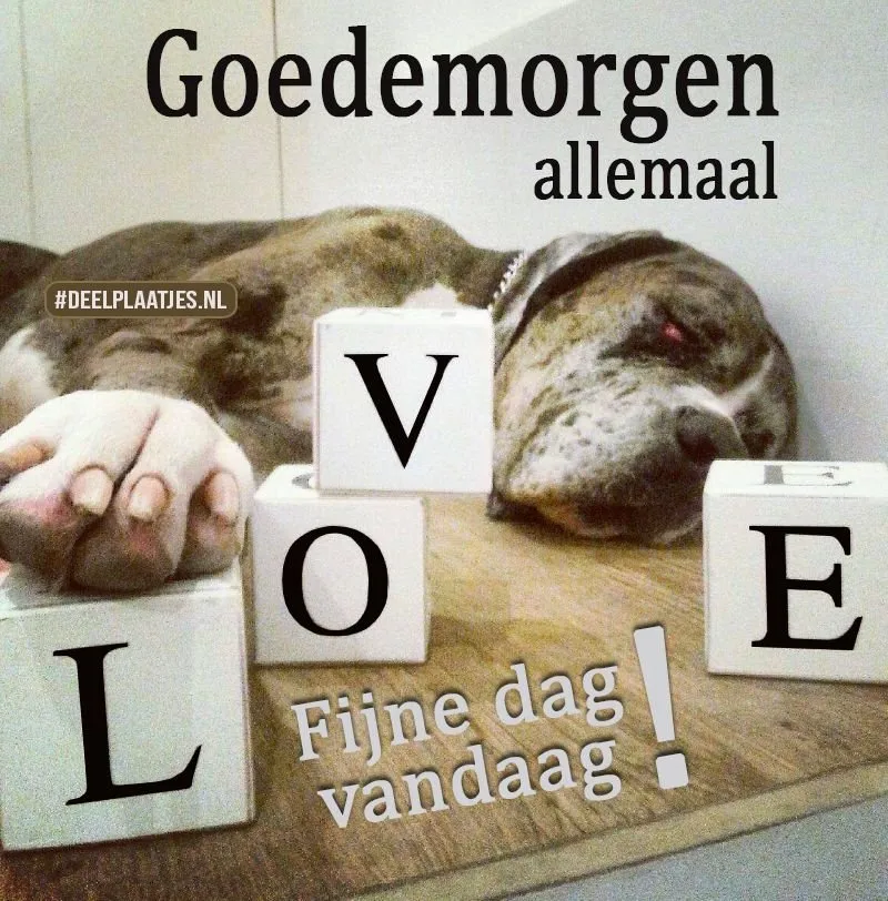 ᐅ allemaal plaatjes - Dinsdag plaatjes ᐅ allemaal plaatjes - Dinsdag plaatjes