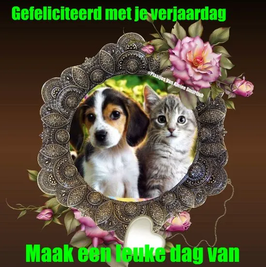 ᐅ allemaal plaatjes - Dinsdag plaatjes ᐅ allemaal plaatjes - Dinsdag plaatjes