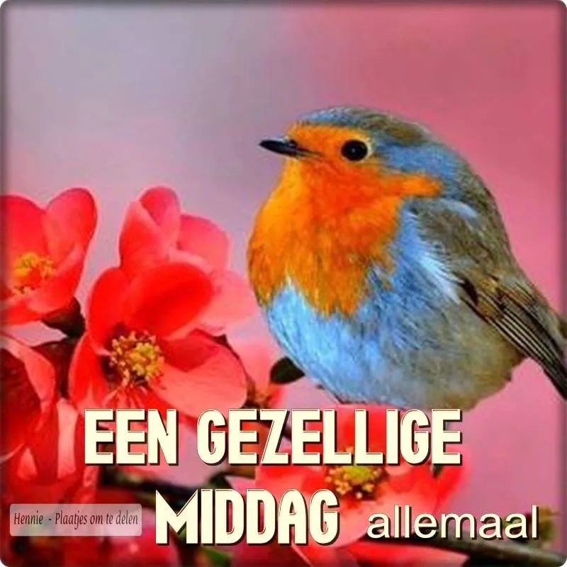 ᐅ allemaal plaatjes - Dinsdag plaatjes ᐅ allemaal plaatjes - Dinsdag plaatjes