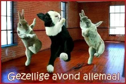 ᐅ allemaal plaatjes - Dinsdag plaatjes ᐅ allemaal plaatjes - Dinsdag plaatjes