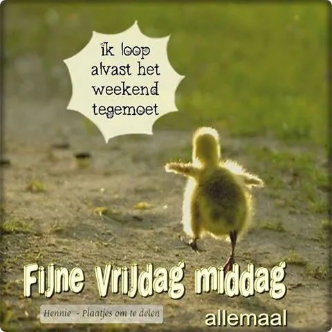 ᐅ allemaal plaatjes - Dinsdag plaatjes ᐅ allemaal plaatjes - Dinsdag plaatjes